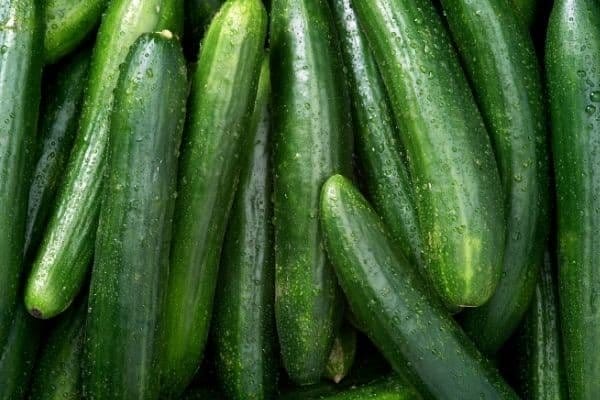 Cucumbers