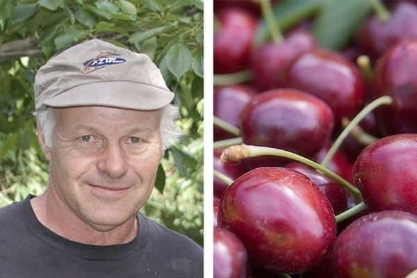 Hagens Orchard fruit